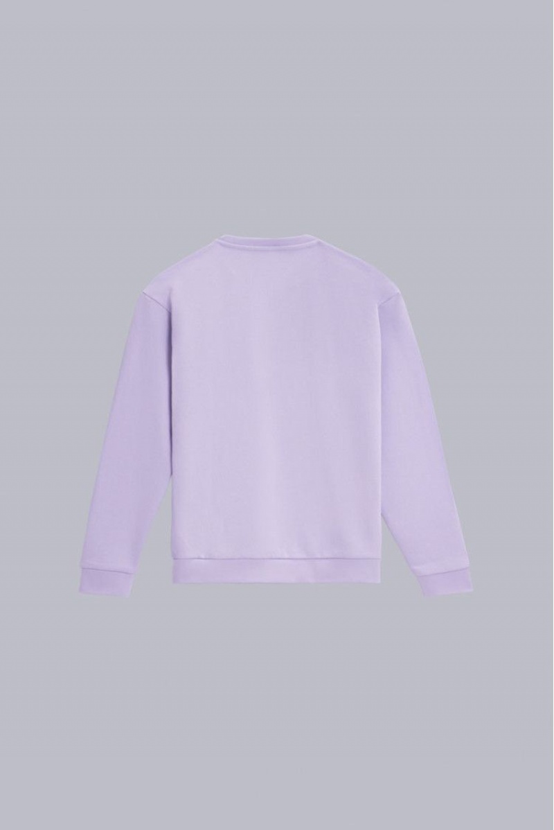 Pánské Mikina Kickers Big K Svetrové Sweat Coton Biologique Lilas | 09416-KNES